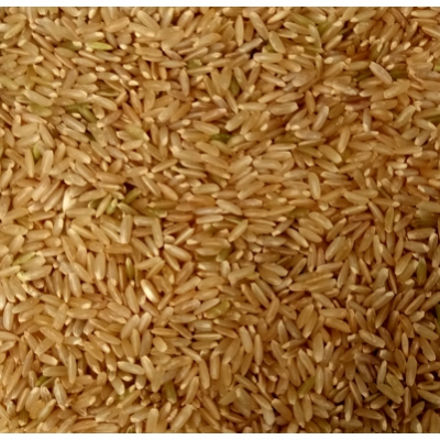Short Grain Brown Rice