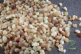Frankincense (Olibanum Resin)