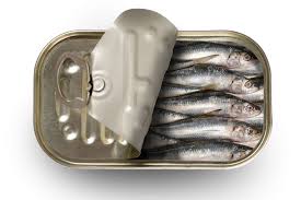 Canned Sardines